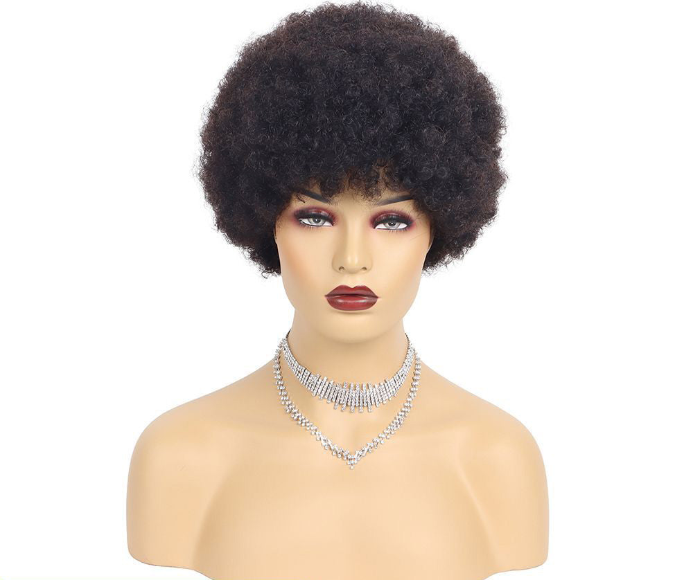 Short Kinky Afro Wig Human Hair